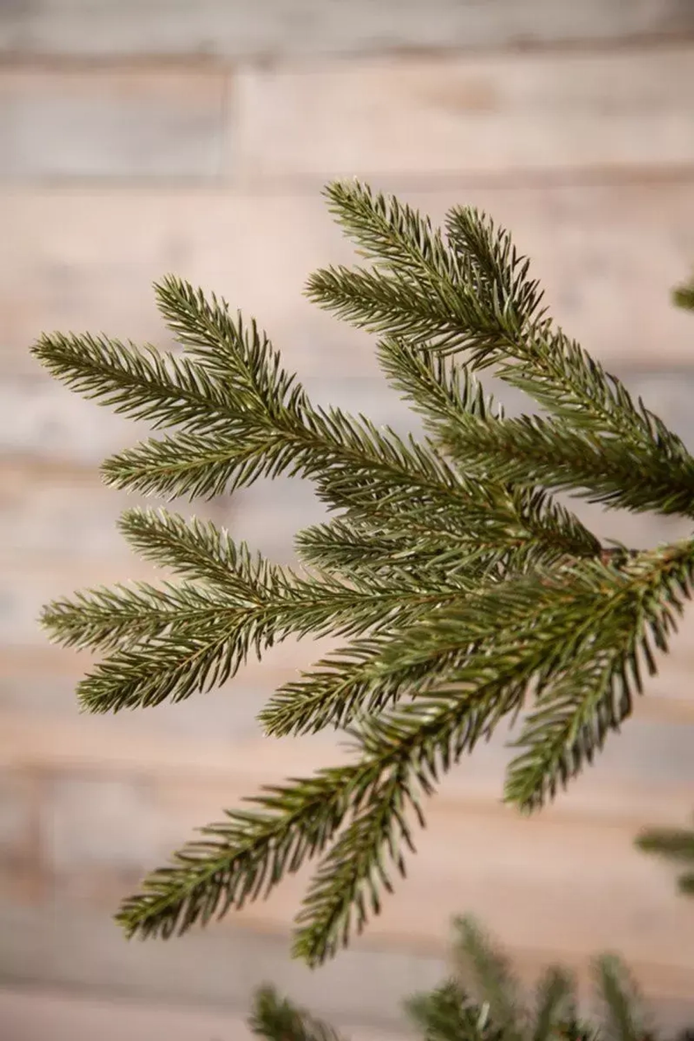 Искусственная ель Ирландская 215 см., литая хвоя+пвх, Black Box (74056)