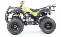 Квадроцикл MOTOLAND 250 ADVENTURE (2021 Г.)