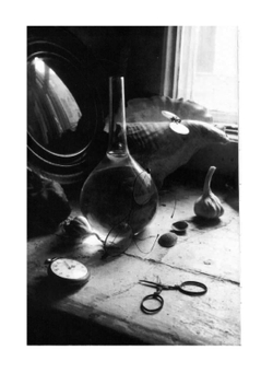 Поэтика фотографии | О.И. Михалкович; В.Т.Стигнеев