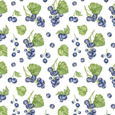 Сочные летние ягоды черной смородины