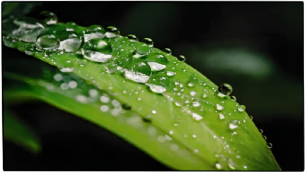 Панель LCD 55' Dahua DHI-LS550UCM-UF