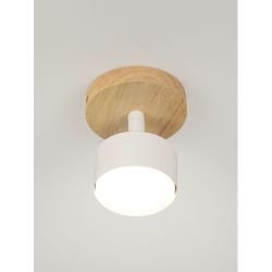 Светильник настенно-потолочный спот Rivoli Vivian 7078-701 1хGX53 15 Вт поворотный | Споты-Подсветки