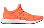 Кроссовки Adidas Ultraboost Clima Dna