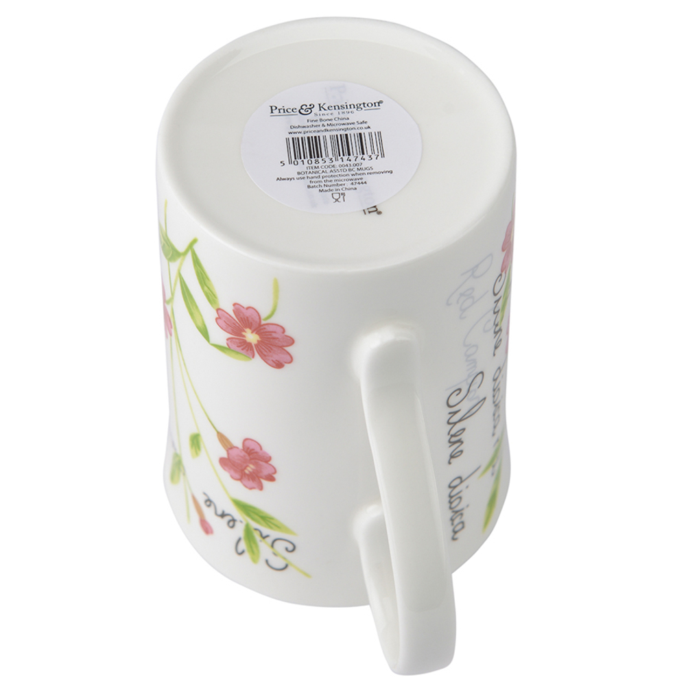 Кружка 0.3л Price&Kensington Botanic розовая