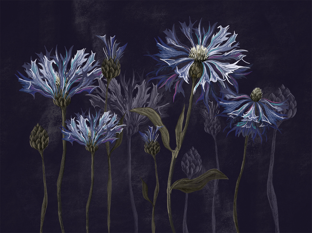 Коллекция SUMMERTIME