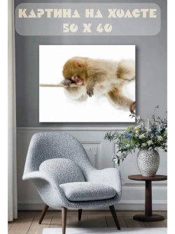 Картина на стену 40 X 50 Обезьяна