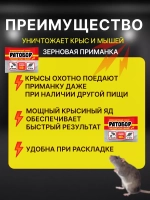 Ратобор отрава от крыс и мышей зерновая приманка 100гр *3шт
