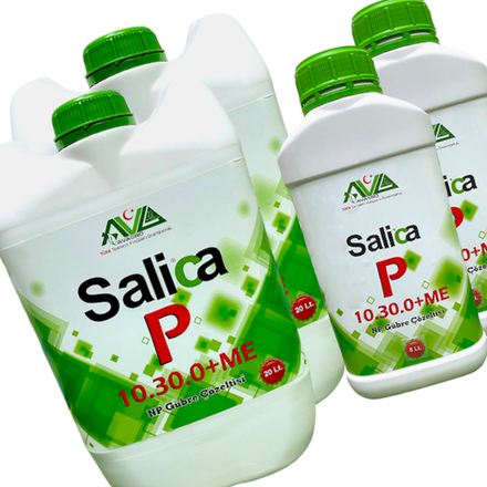 Фосфорное удобрение с микроэлементами Salica-P