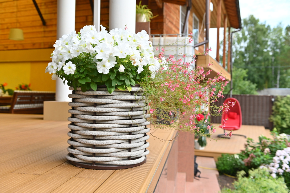 Вазон низкий