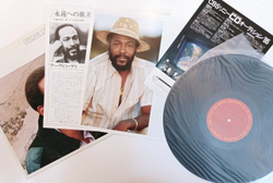 Винтажная виниловая пластинка LP Marvin Gaye Dream Of A Lifetime (Japan 1985)