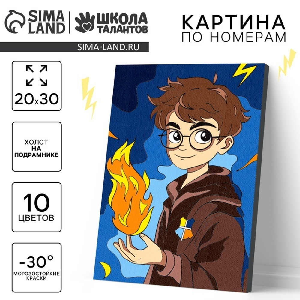Картина по номерам "Волшебство в руках" 20х30 см. 10472657