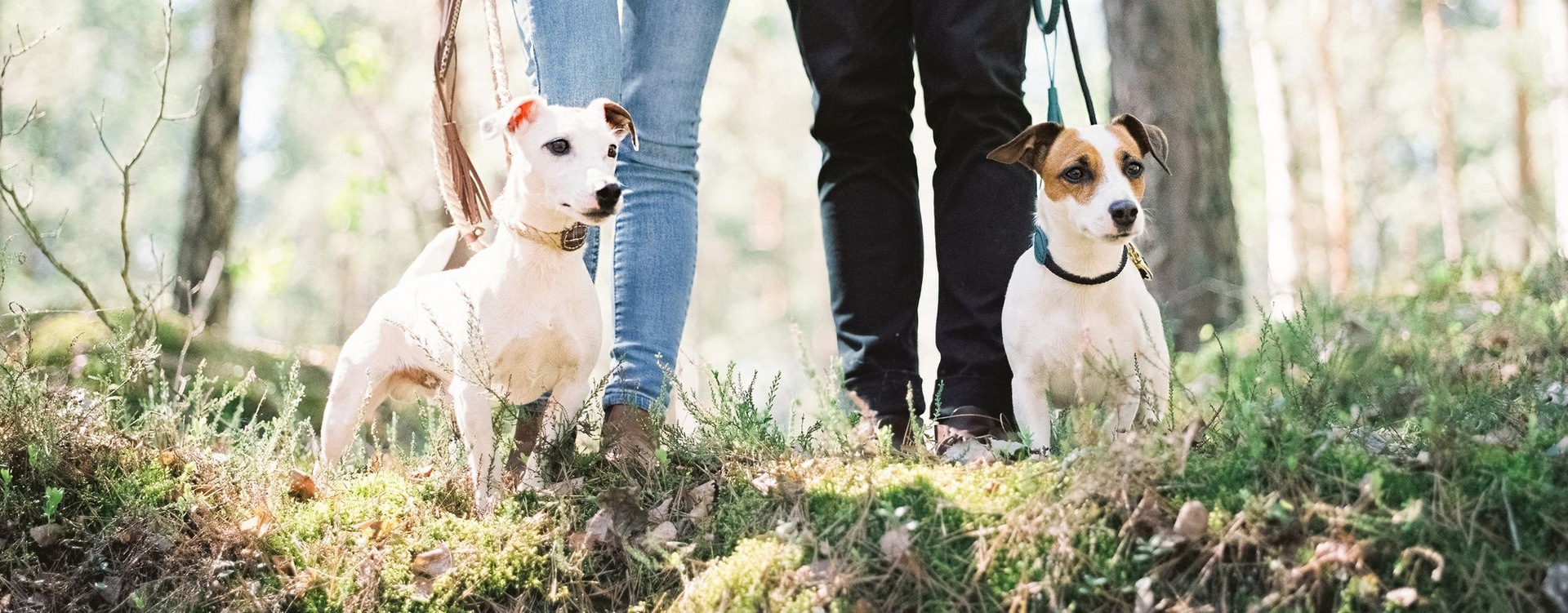 "Оказалось, наше вдохновение всегда бегало рядом с нами"