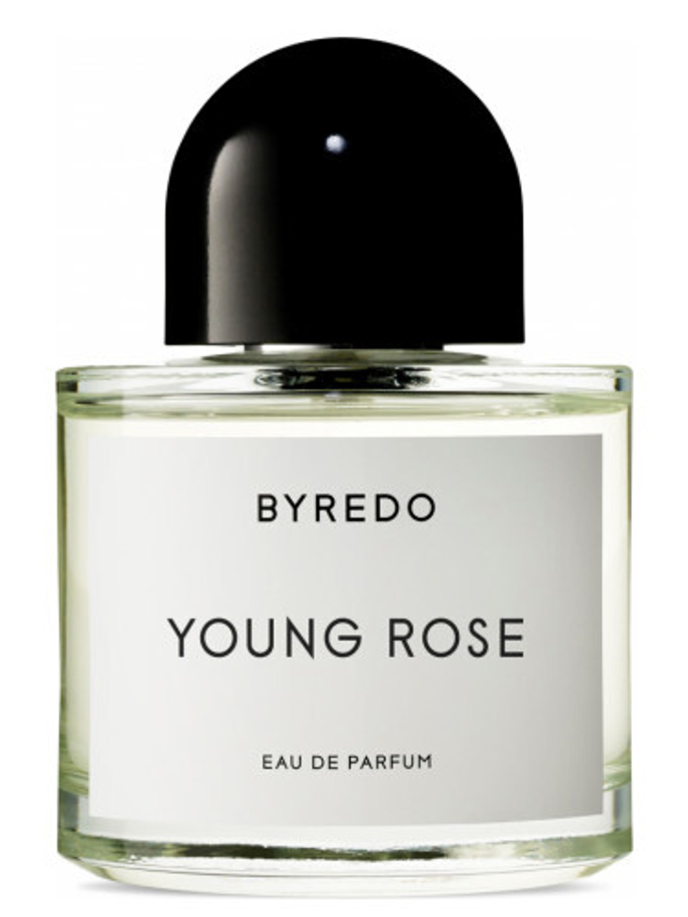 BYREDO Young Rose