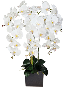 Искусственные Орхидеи белые 5 веток 75см в кашпо Лофт