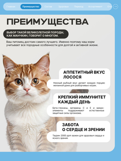 Корм сухой для взрослых кошек породы Манчкин, с лососем, 400 гр, QUATTRO