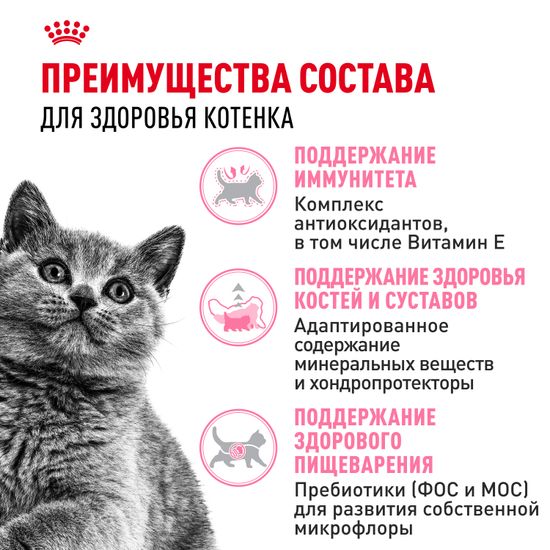 Royal Canin Kitten British Shorthair для Британских котят Royal Canin Kitten British Shorthair для Британских котят