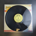 LP Goldie Fns This Is My Life. Виниловая пластинка 12 дюймов. Чехословакия 1983 год.