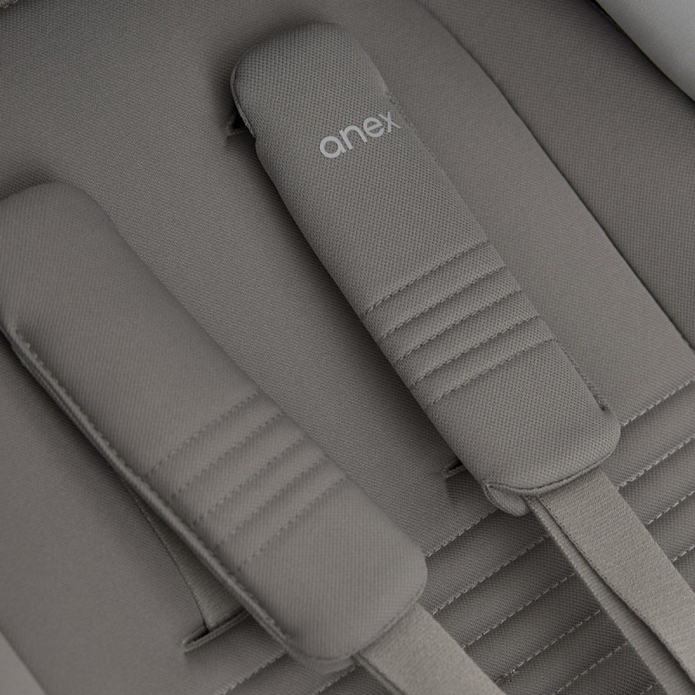 Детская коляска Anex Eli 2 в 1 без рюкзака Santal El-06