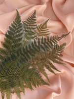 Набор наклеек папоротник