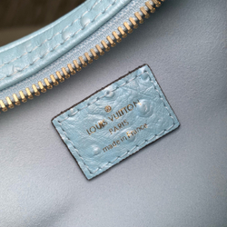 Louis Vuitton Loop