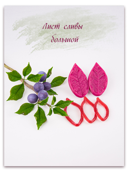 Лист сливы большой