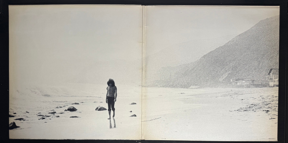 Gino Vannelli ‎– Brother To Brother (Голландия 1978г.)