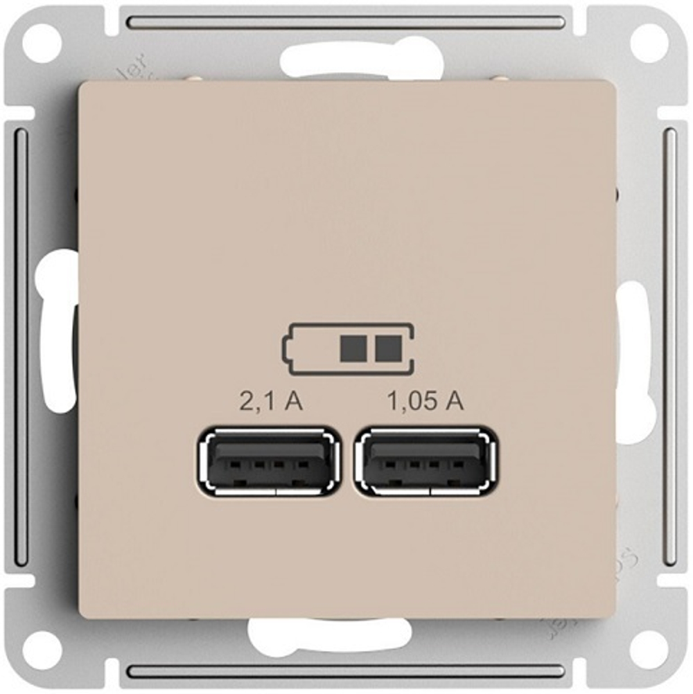 Розетка USB  Systeme Electric ATN001233