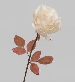 TR 401 Распустившаяся роза