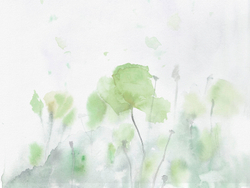 Коллекция WATERCOLOR21