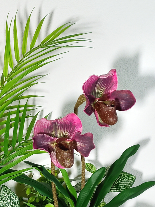 Композиция Тропическая с орхидеями бордо в кашпо
