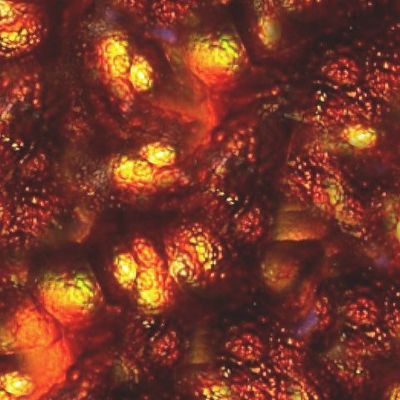 Огненная лава