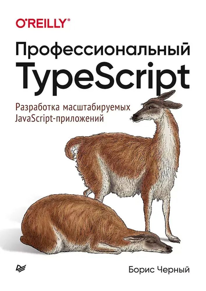 Книга: Черный Б &quot;Профессиональный TypeScript. Разработка масштабируемых JavaScript-приложений&quot;