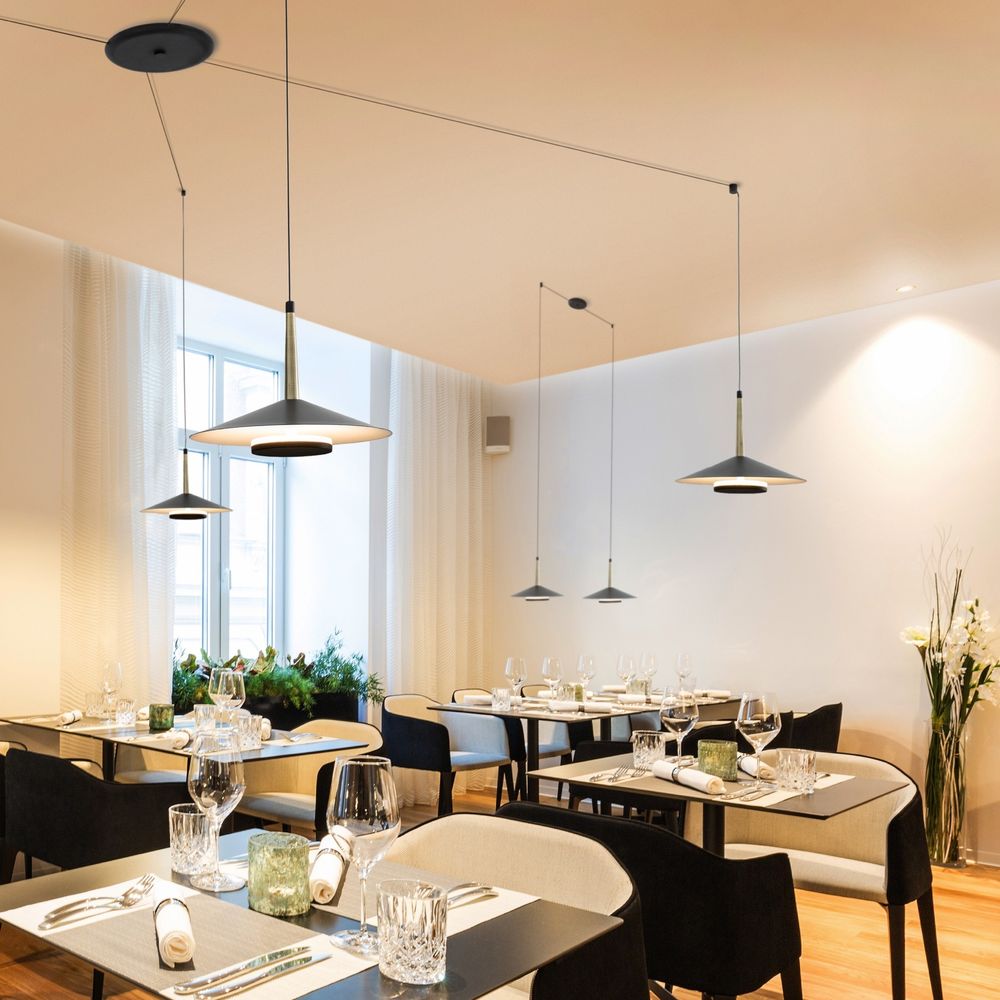 7307 Подвесной светильник ORION