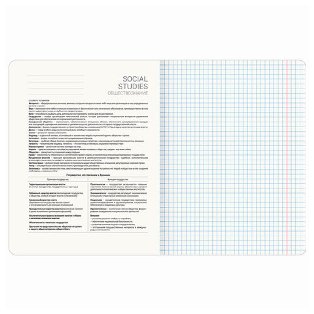 Тетрадь предметная "STARLIGHT" 48 л., глянцевый УФ-лак, ОБЩЕСТВОЗНАНИЕ, клетка, BRAUBERG, 404521