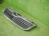 Решетка радиатора Skoda Rapid (2012-2020)