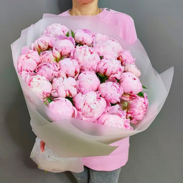 Букет с 25 пионами сорта "Сара Бернар"
