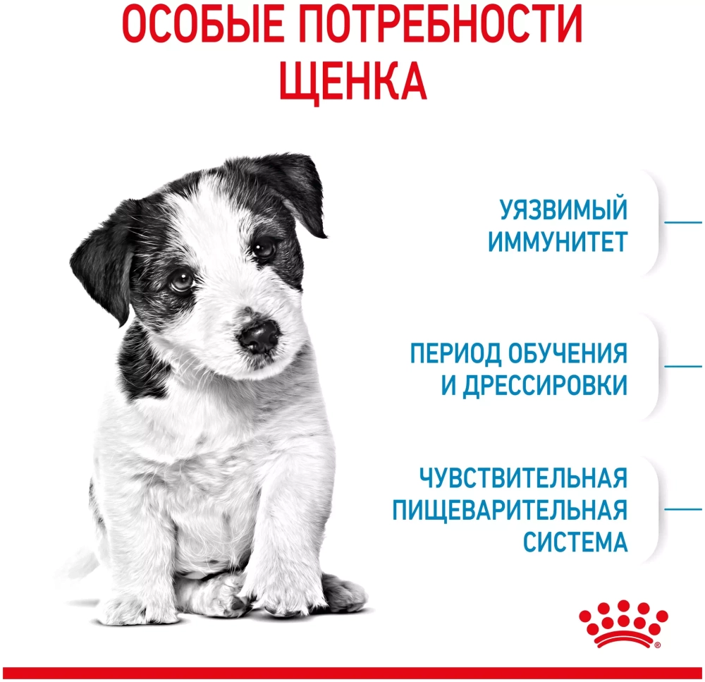 Royal Canin Mini Puppy Сухой корм Роял Канин для щенков мини пород, 2 кг