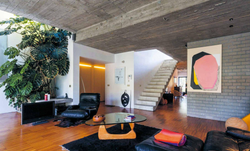 Ultimate Wonder Plants: Your Urban Jungle Interior