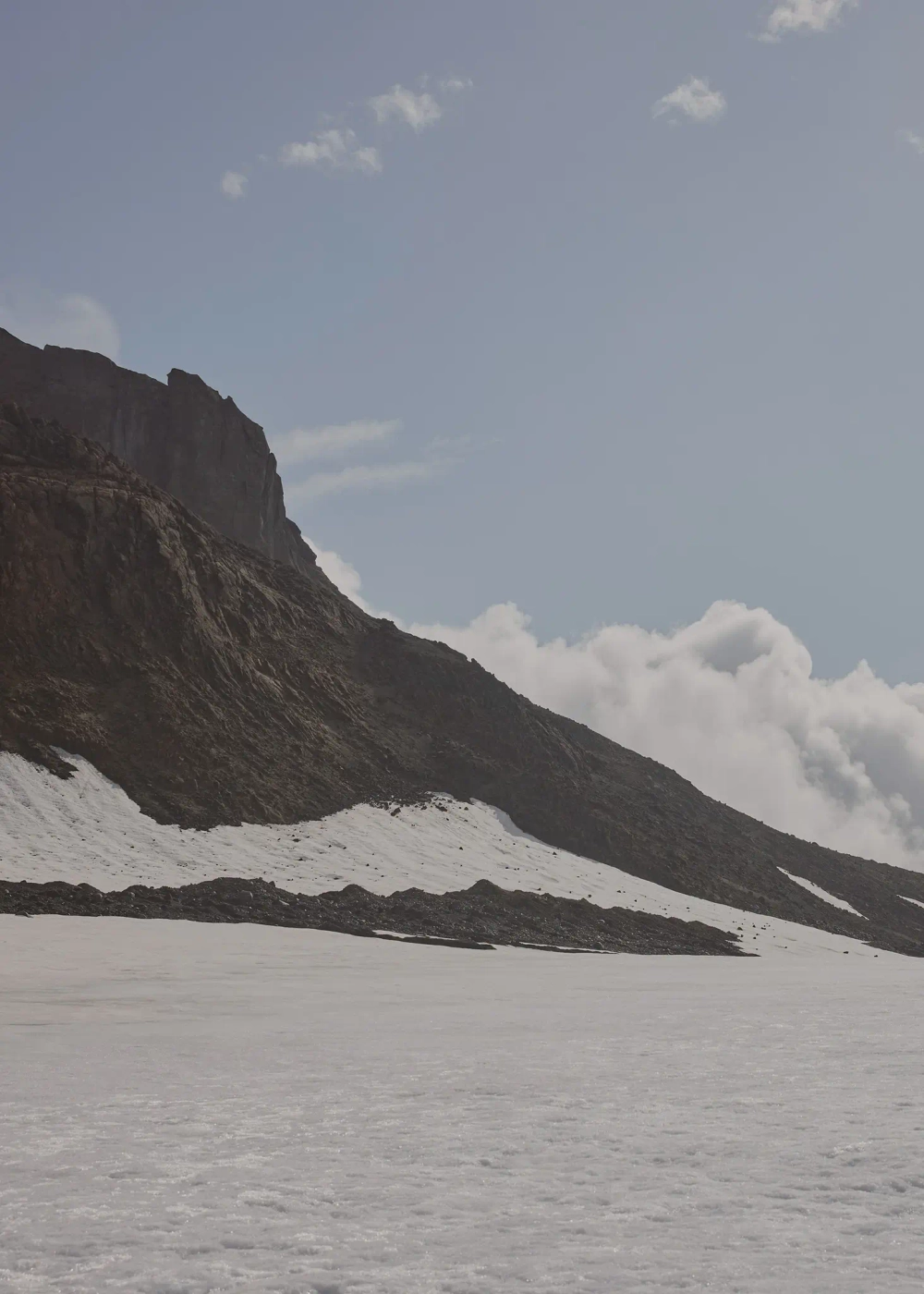 POLENE СУМКА NUMERO UN NANO, СВЕТЛЫЙ РЫЖЕВАТО-КОРИЧНЕВЫЙ
