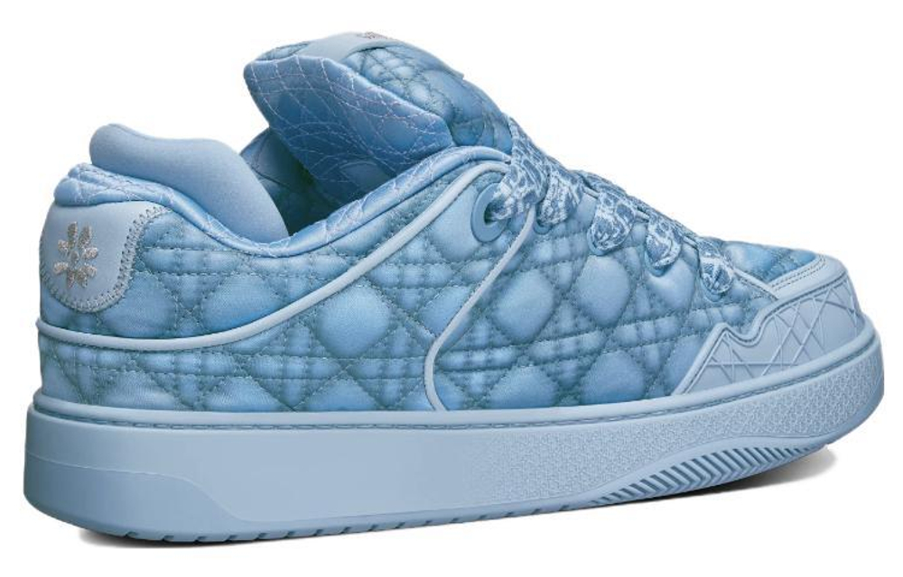 Кроссовки ERL x DIOR B9S Skater ERL Kumo Cannage Satin, 3SN288ZTE_H500