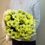 Букет из жёлтых ромашек кустовых хризантем 7 шт. в упаковке фоамиран