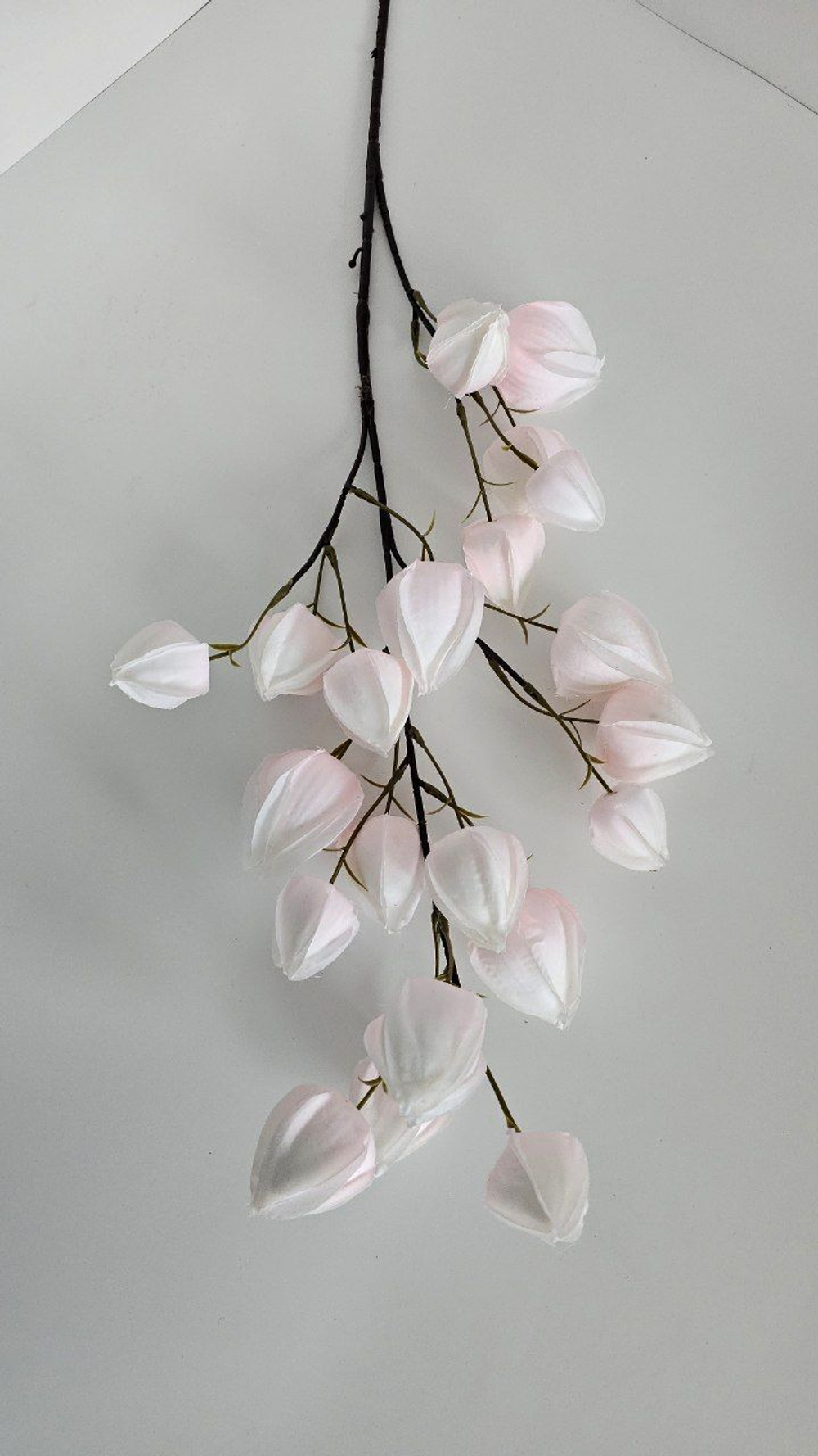 Физалис / Арт 2366