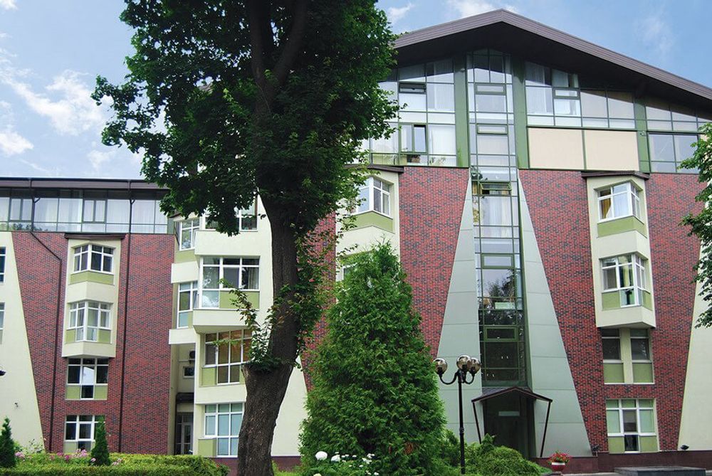 King Klinker - цвет Wild wine (04), Dream House, 65x250x10, RF - Клинкерная плитка для фасада и внутренней отделки