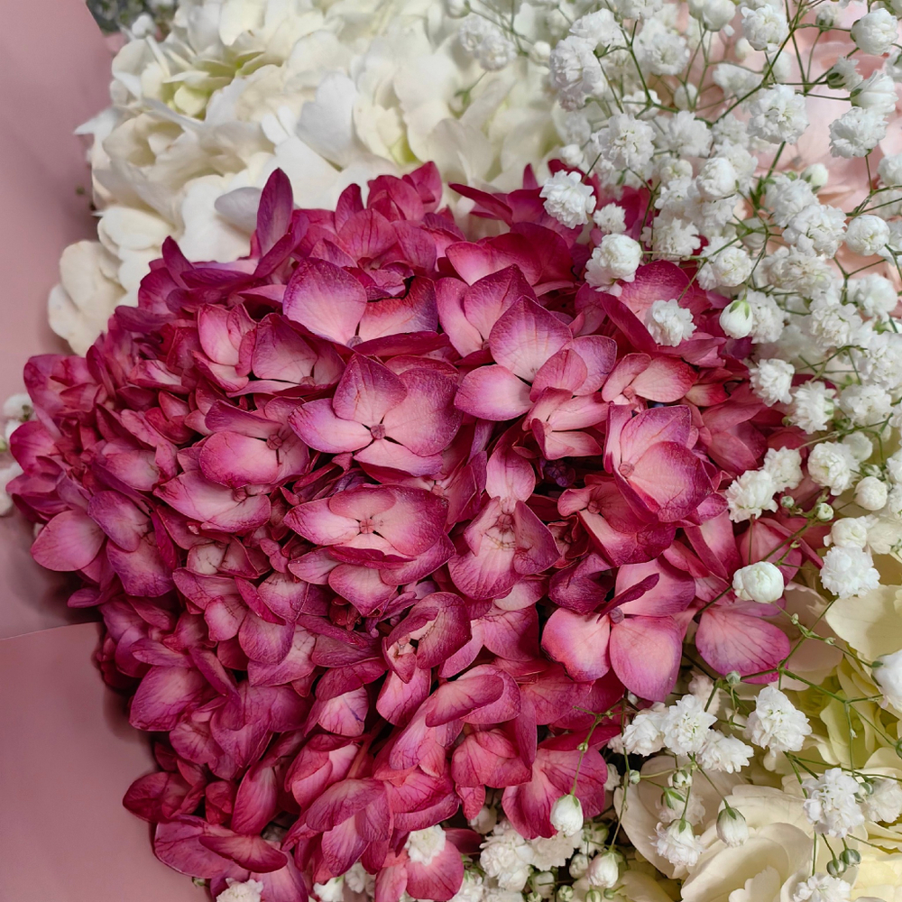 Букет из 9 гортензий и гипсофил
