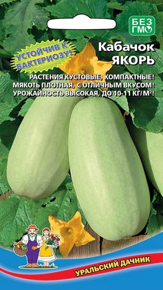 Кабачок &quot;G. Якорь&quot; 2г., Россия.