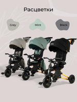 Велосипед трехколесный Qplay S700-17 SPRINTER SL Black (Rub/Gold)