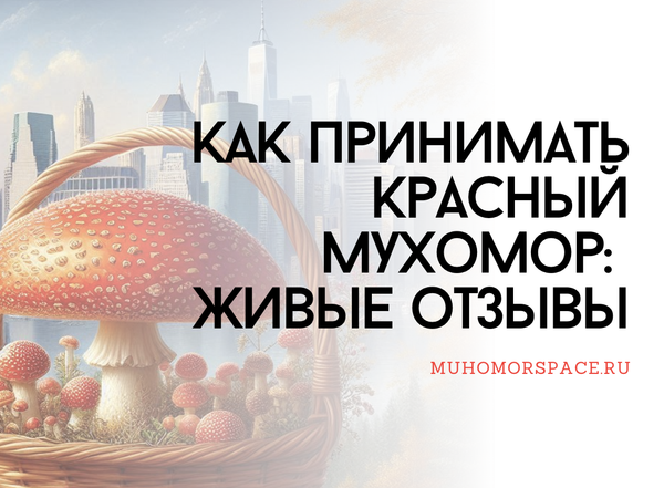 Как принимать мухоморы
