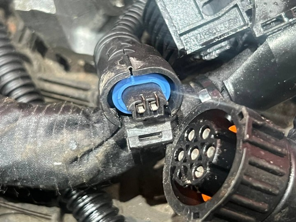 Проводка двигателя 2024г.