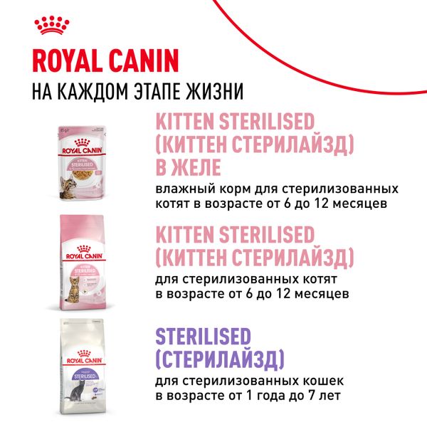Пауч Royal Canin Kitten Gravy для котят в период второй фазы роста в возрасте до 12 месяцев, кусочки в соусе