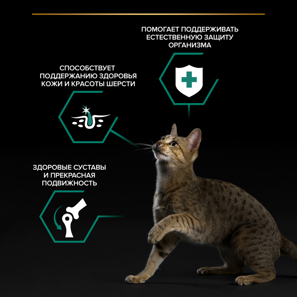 Паучи PRO PLAN MAINTENANCE для взрослых кошек живущих дома с курицей в соусе 26х85г